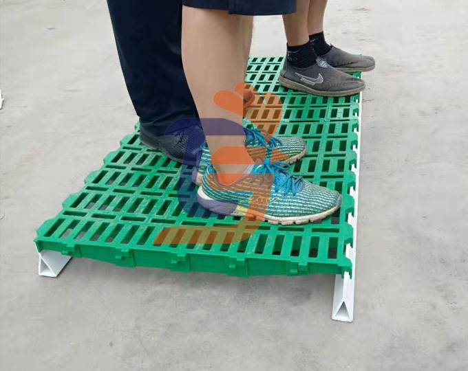 羊床漏粪板承重测试
