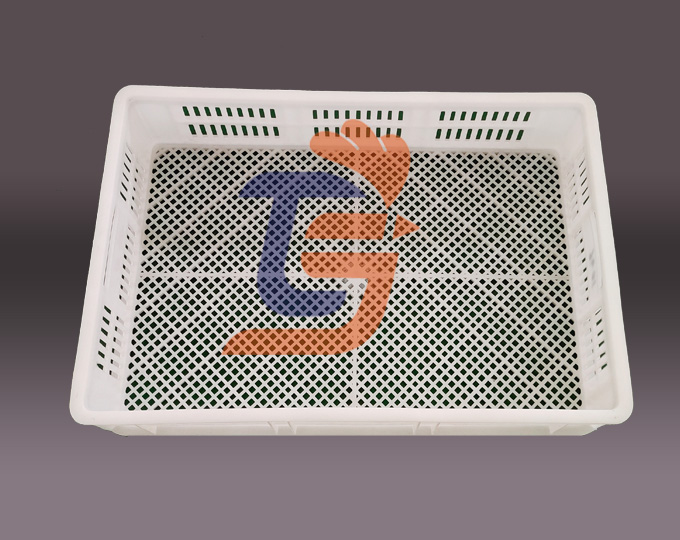 食品级塑料冻盘